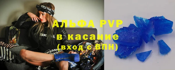 spice Богданович