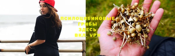 метадон Богородицк
