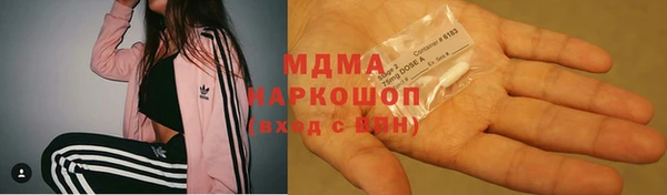 spice Богданович
