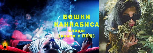 spice Богданович