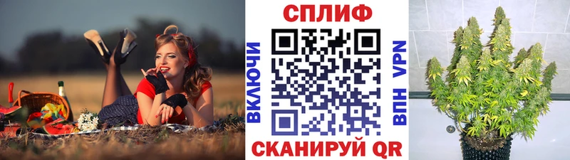 Бошки Шишки White Widow  Клинцы 